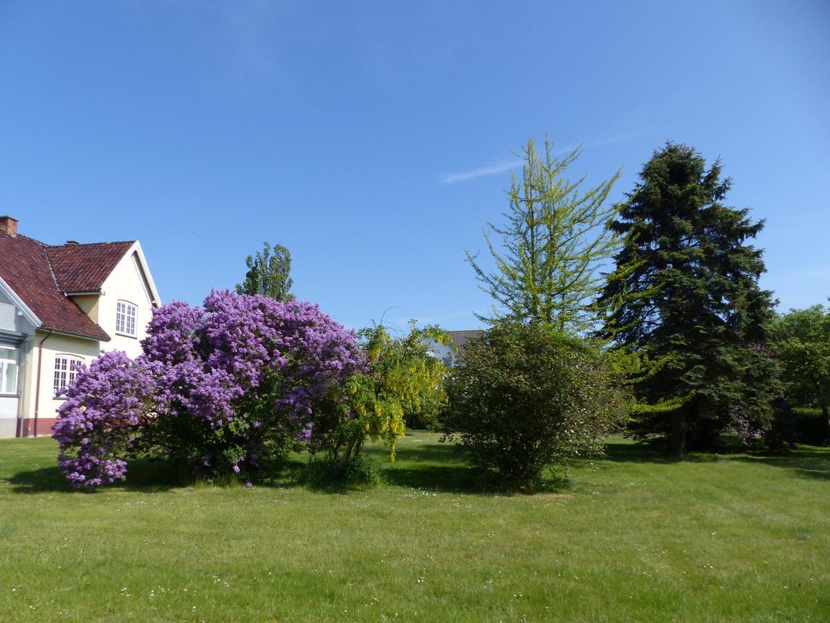 Birkely Bed And Breakfast Стеге Экстерьер фото